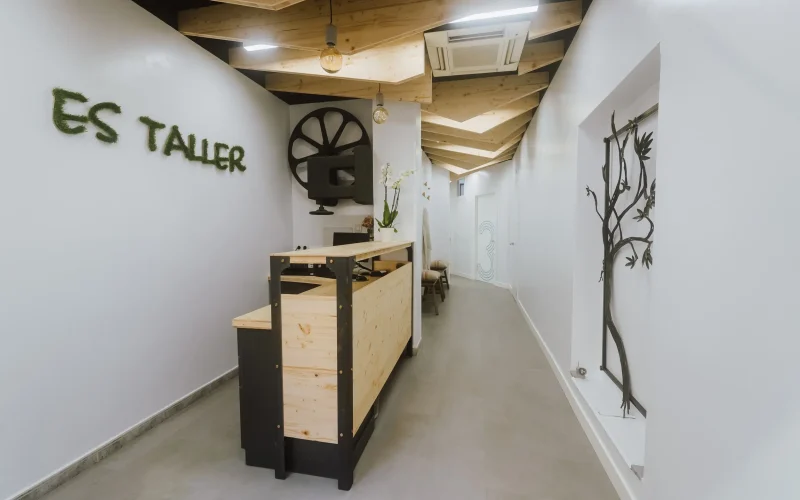 CEntre es taller a manaco